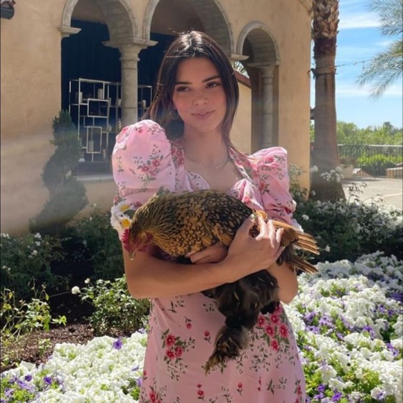 Meet your Posher, Ash - Picture 1 of 1